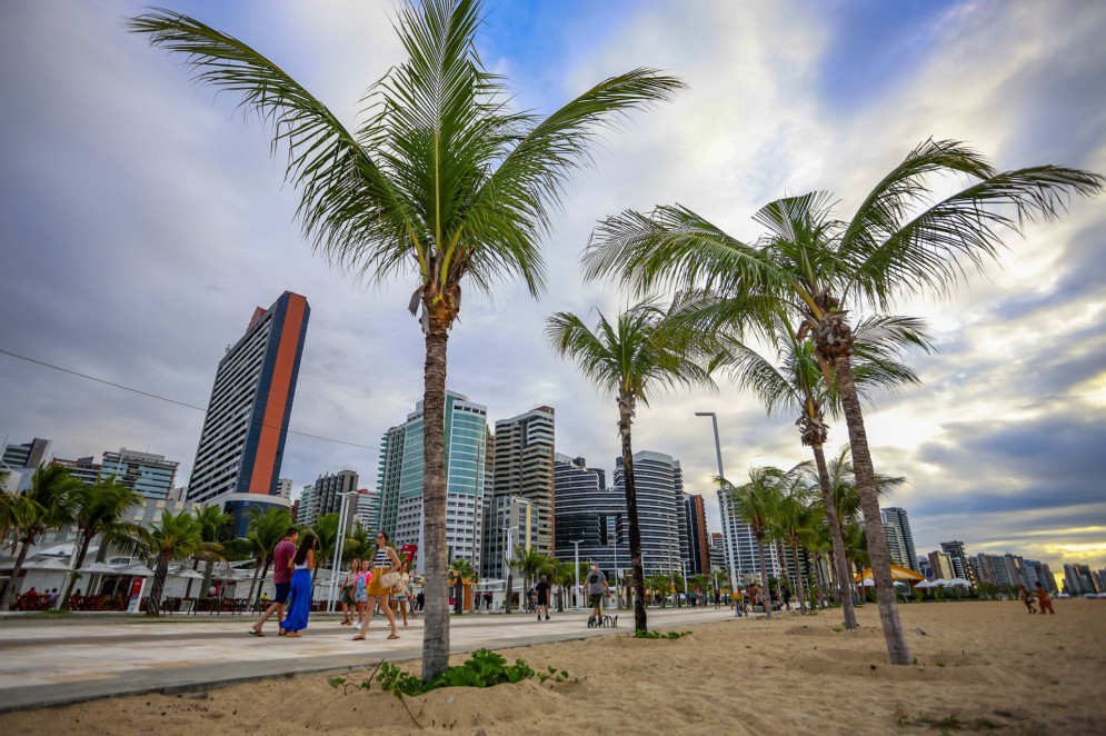 Fortaleza Teve Mais De Mil Mudas Plantadas Ou Doadas Nos Cinco