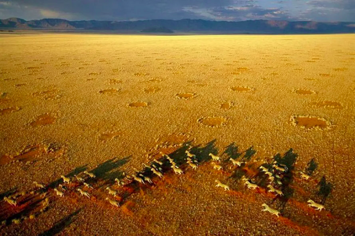 Círculos de fadas Anéis misteriosos se alastram pelo planeta