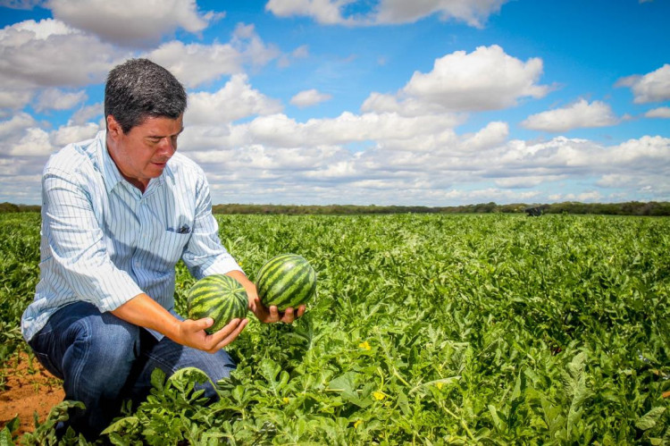 Com a subsidiária Melon&Co, a cearense Agrícola Famosa pretende assumir a distribuição dos produtos no mercado britânico