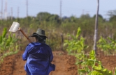 Agricultor da comunidade Tomé, na zona rural de Limoeiro do Norte