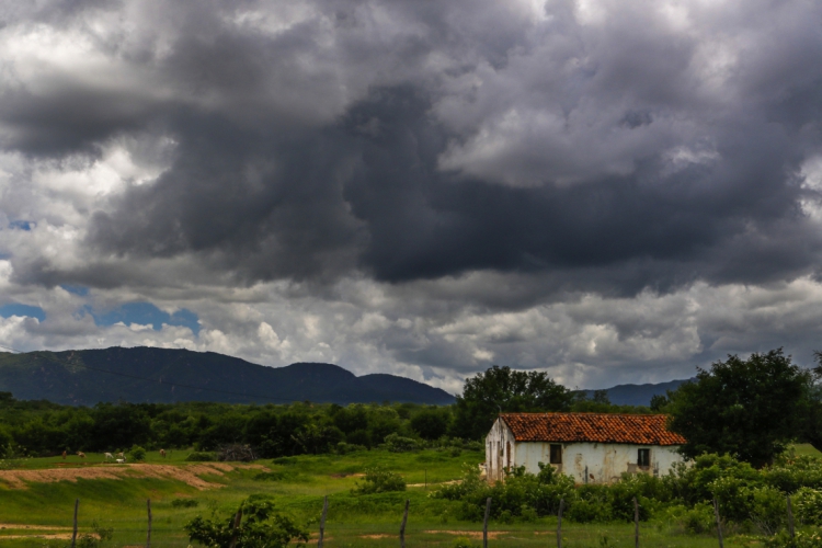 Foto: Mateus Dantas/O POVO