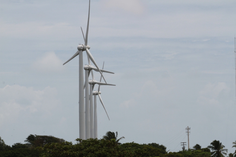 Após a formação, os jovens poderão atuar em parques no Rio Grande do Norte e na Bahia