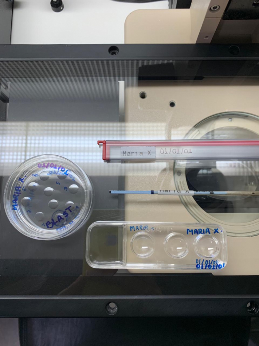 Exemplos de recipientes utilizados em um procedimento de Fertilização In Vitro. Na imagem, estão a placa onde os embriões são guardados e tubos por onde os óvulos são retirados