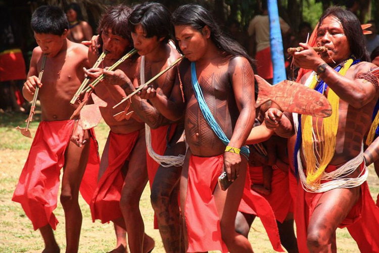 Povos indígenas vivem situações de conflito com agentes de atividades econômicas na selva amazônica