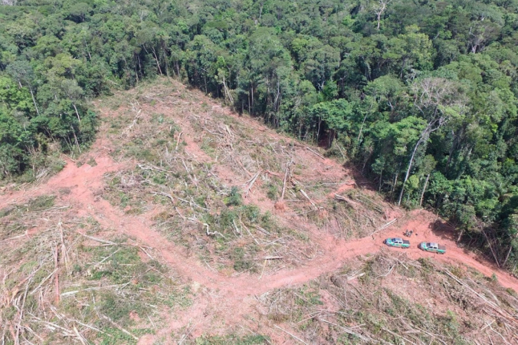 A soja contribui para a alta de preços. Uma das causas que explica o aumento é o fator climático, com o desmatamento provocado pelo homem