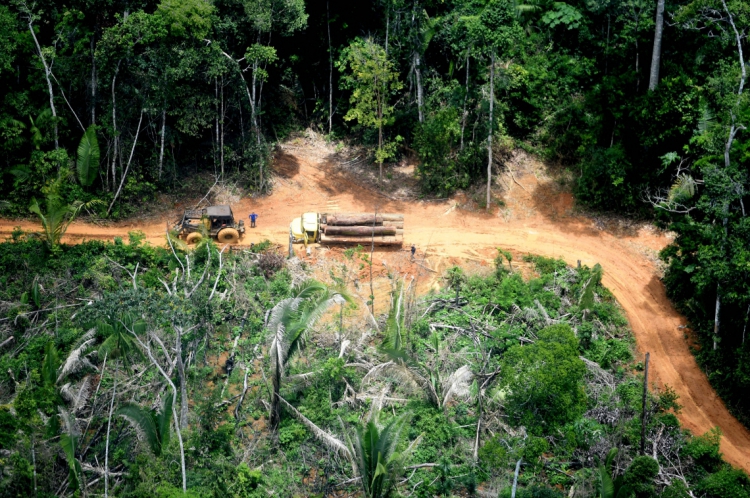 ￼Desmatamento é o maior problema ecológico no Brasil.(Foto: CHICO BATATA/ GREENPEACE)