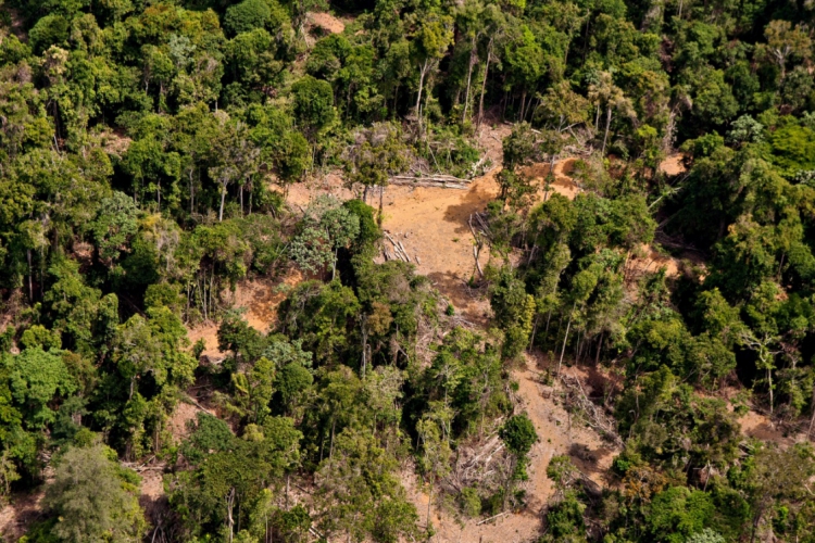 Amazônia