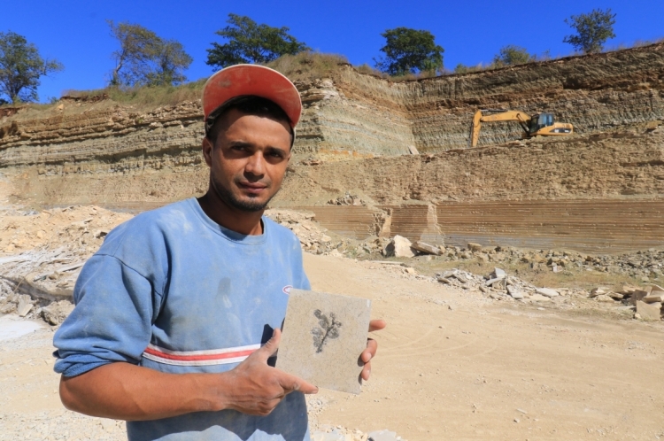 CRATO, CE, BRASIL, 28.07.2019: José Roberto pereira de sousa, funcionario da mina de pedra Cariri que separa fosseis para universidade.  Geositio Pedra Cariri.  (Fotos: Fabio Lima/O POVO)(Foto: Fabio Lima)