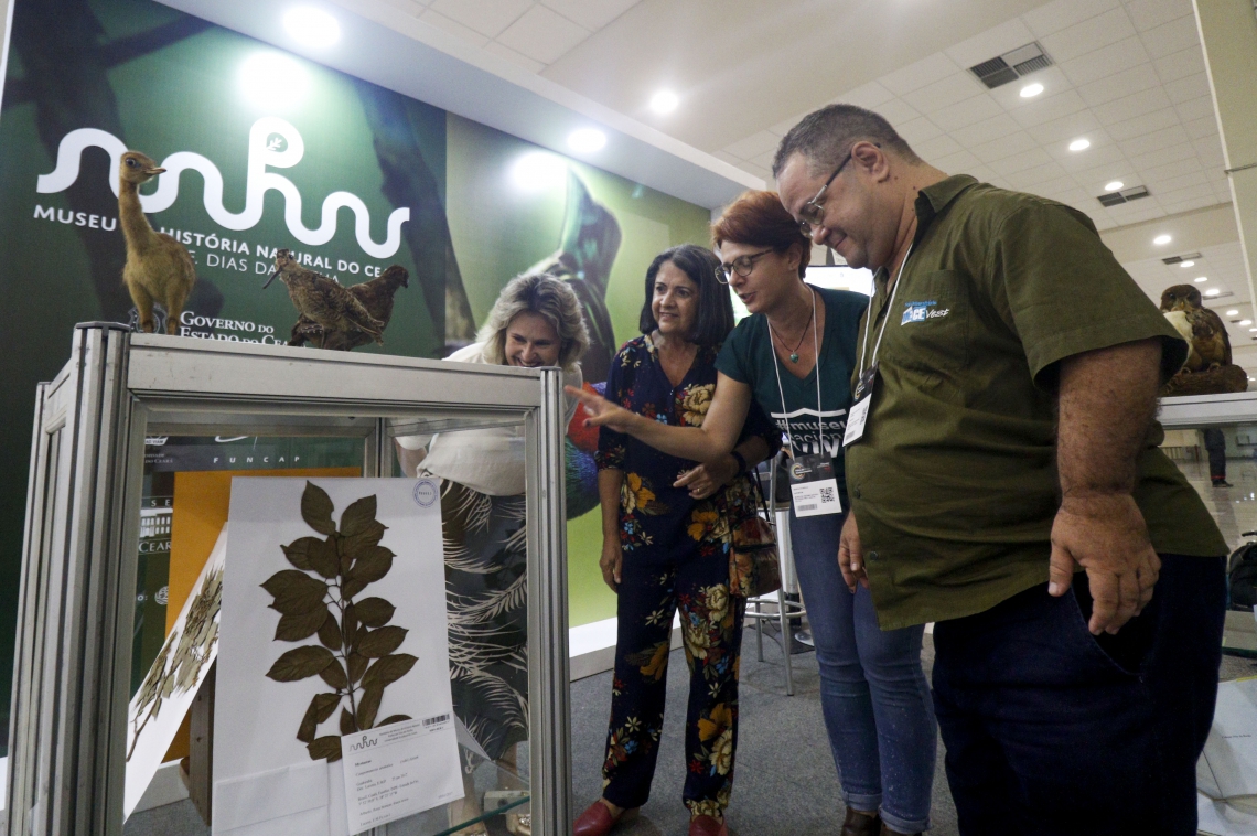 Exposição itinerante do museu de história natural que o Ceará terá, na Feira do Conhecimento, no Centro de Eventos. (Fotos: Deísa Garcêz/Especial para O Povo) (Foto: Deísa Garcêz/Especial para O Povo)