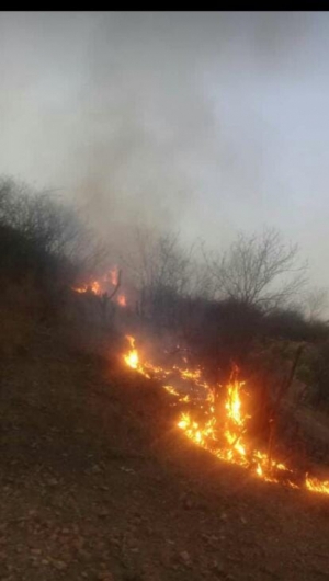 Trabalhadores estão preocupados com a proporção que os focos de incêndio podem tomar