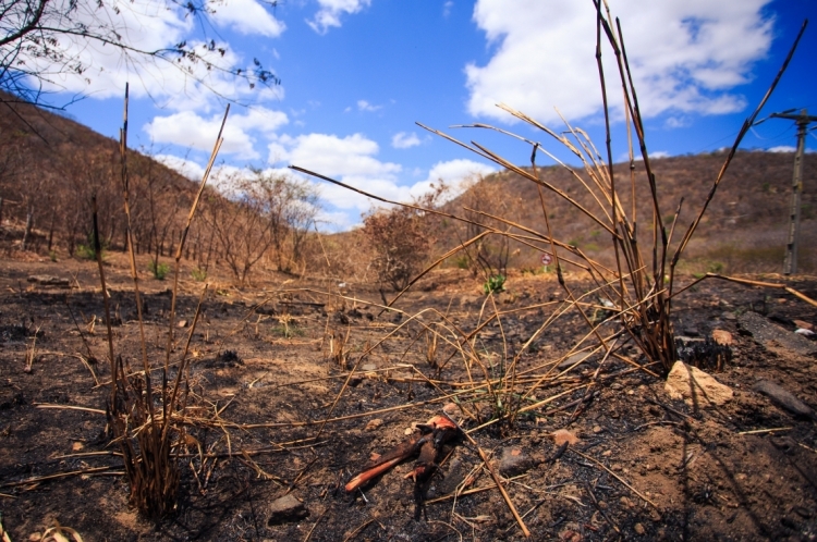 Queimada à margem da BR em Quixadá (Foto: 31 18:50:59)