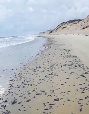 Imagem de manchas de óleo na praia de Poço Velho, Itapipoca