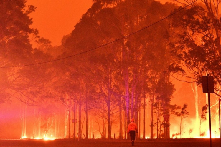 As queimadas ocorrem desde setembro e já destruíram mais de 4 milhões de hectares no país da Oceania. No Brasil, o risco de aproximação começa pelo Rio Grande do Sul. 