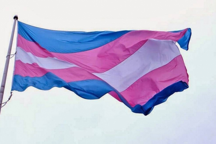 Organização Mundial da Saúde (OMS) retira a transexualidade da lista de transtornos mentais