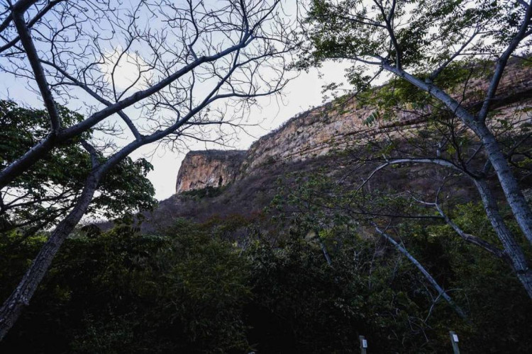 Região da Bica do Ipu, na Serra de Ibiapaba 