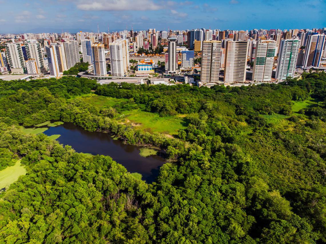 ￼A MUDANÇA vai permitir a preservação da fauna e da flora locais (Foto: FCO FONTENELE)