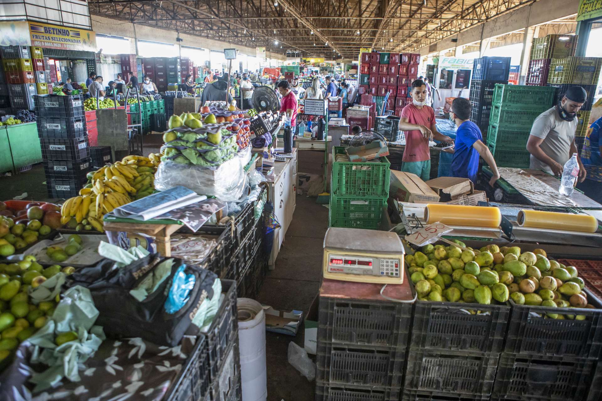 Ceasa completa 50 anos como um dos  maiores entrepostos de comercialização de grãos, frutas, legumes e verduras do Nordeste(Foto: FCO FONTENELE)