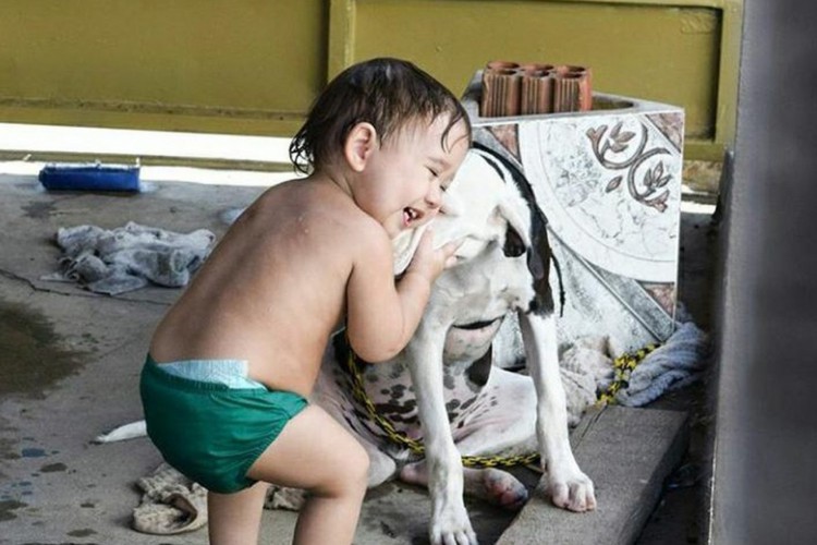 O filho de Eduardo, Elias Neto, cresceu junto com Ikki e sempre perguntava do amigo canino que sumiu