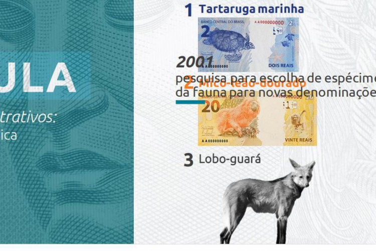 Nova cédula de R$ 200 entra em circulação na quarta-feira