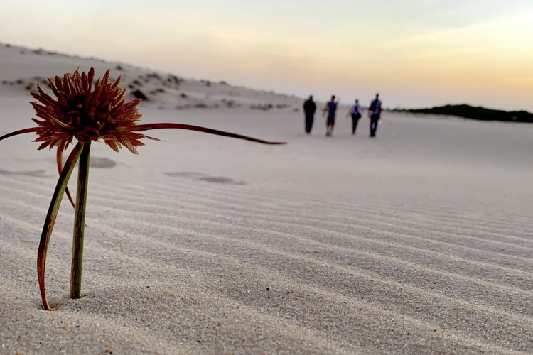 ￼PARQUE Nacional das Dunas da Sabiaguaba: unidade poderá contar com passeio de buggys