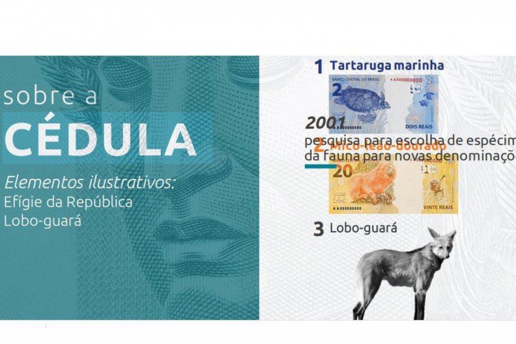 Cédula de R$ 200 entra em circulação hoje (Foto: Banco Central)