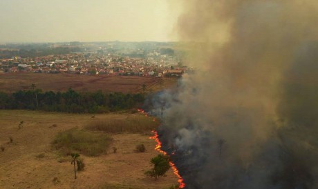 Significa que estamos caminhando para a vulnerabilidade de espécies no mundo inteiro ao impactar o clima dos habitats delas.