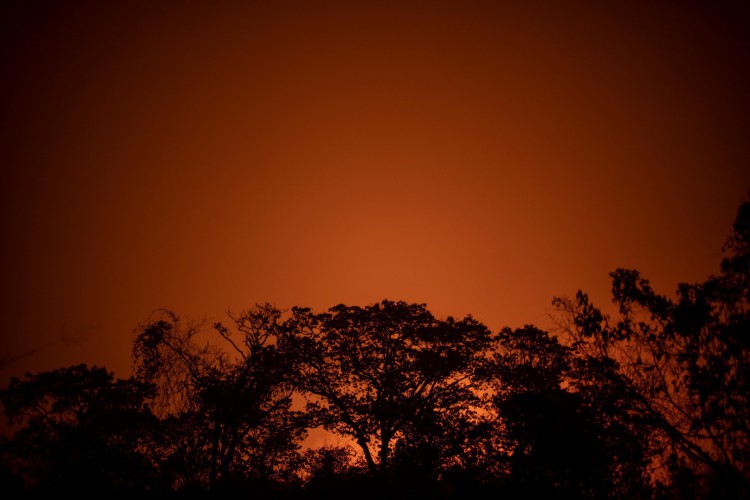 Mato Grosso em 13 de setembro de 2020. O brilho vermelho do fogo é visto no Pantanal na estrada do parque Transpantaneira. O Pantanal está sofrendo seus piores incêndios em mais de 47 anos, destruindo vastas áreas de vegetação e causando morte de animais pegos pelo fogo ou fumaça. (Foto de Mauro Pimentel / AFP)