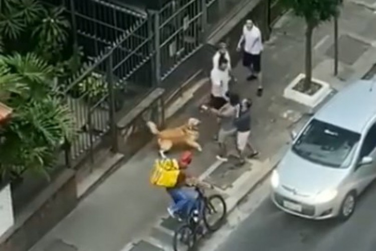 Homofobia e racismo: homem é agredido em SP e violência é filmada