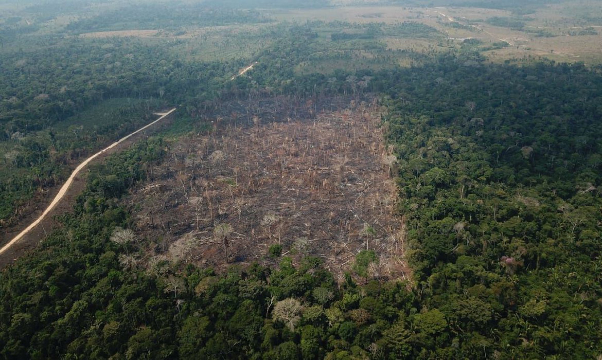 Desmatamento Da Amazônia Sobe 95 E Atinge 11 Mil Km2 Brasil Últimas Notícias Do Brasil O 2708