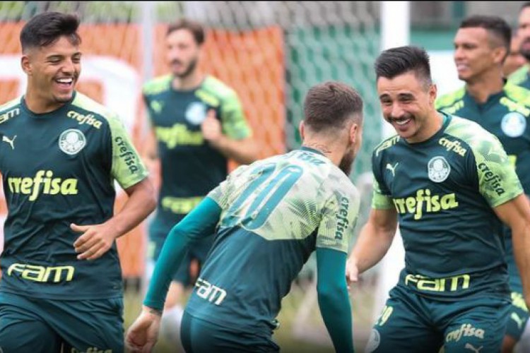 Sport x Palmeiras pelo Brasileirão: onde assistir ao vivo ...