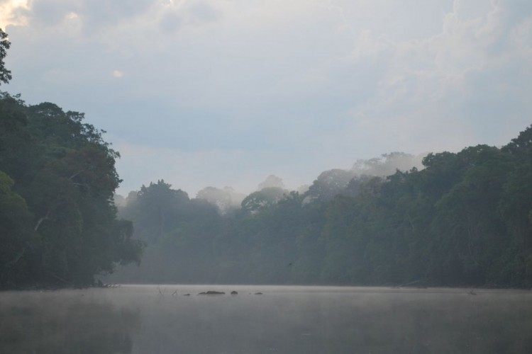 Foto de apoio ilustrativo: Operação Mata Atlântica em Pé, comandada pelo Instituto Chico Mendes de Conservação da Biodiversidade (ICMBio) e a Polícia Federal, embargou mais 125 hectares do bioma, que leva o nome da ação, só no Ceará.