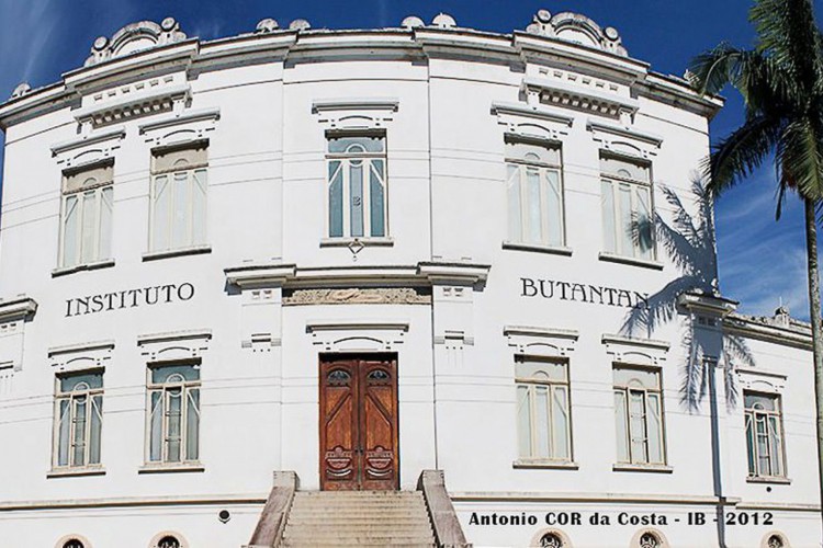 Instituto Butantan