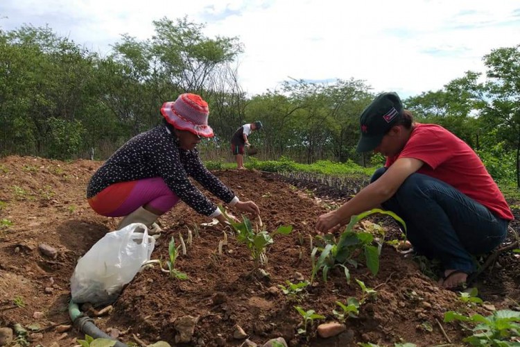 Este é o terceiro mês do Levantamento Sistemático da Produção Agrícola (LSPA), e se refere ao período de 16 de fevereiro de 2024 a 15 de março de 2024