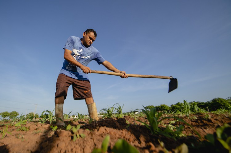 Edson Almeida, agricultor