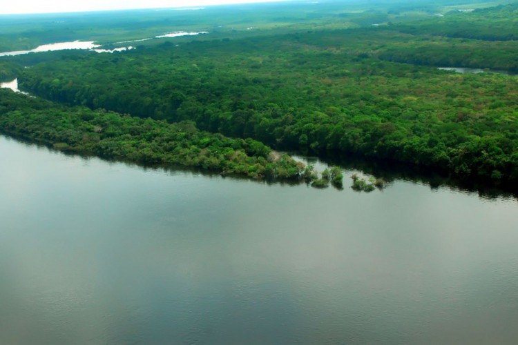 Governadores discutem parcerias com Estados Unidos na área climática