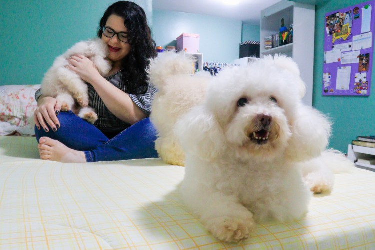 Na foto, a professora Janaina e os cachorros da raça poodle