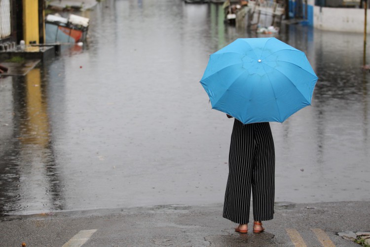 Os ventos mais fortes podem causar a movimentação de ramos das árvores e a dificuldade em manter um guarda chuva aberto 