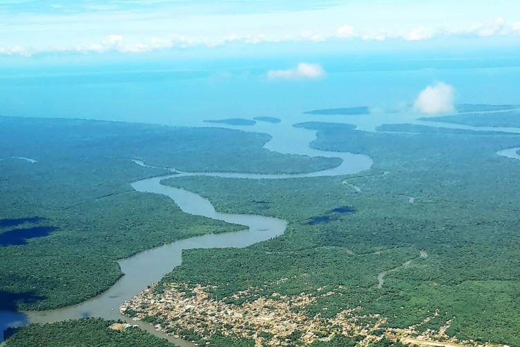 Vista aérea da floresta da amazônia