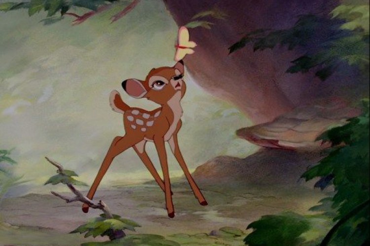 Viena recupera o autor de Bambi