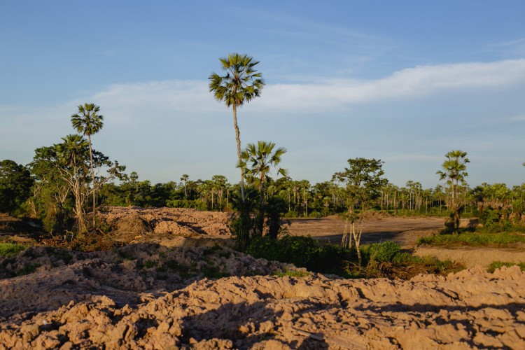 Desmatamento em área da tribo Tapeba, em Caucaia, no bairro Campo Grande, em 2021 