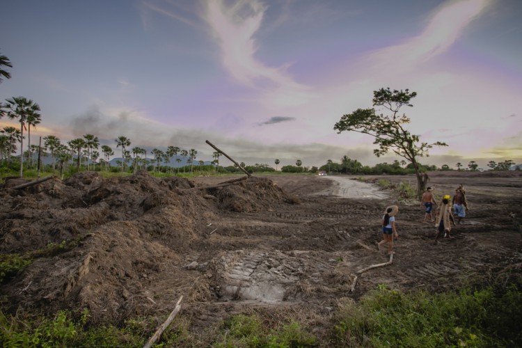 CAUCAIA, CE, BRASIL, 15-06.2021: Desmatamento em área da tribo Tapeba, em Caucaia, no bairro Campo Grande