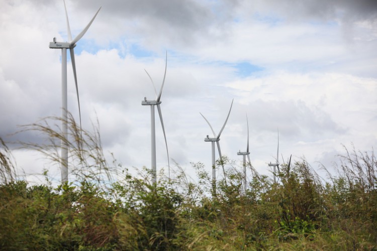 Energia eólica é o principal destaque do Ceará em geração