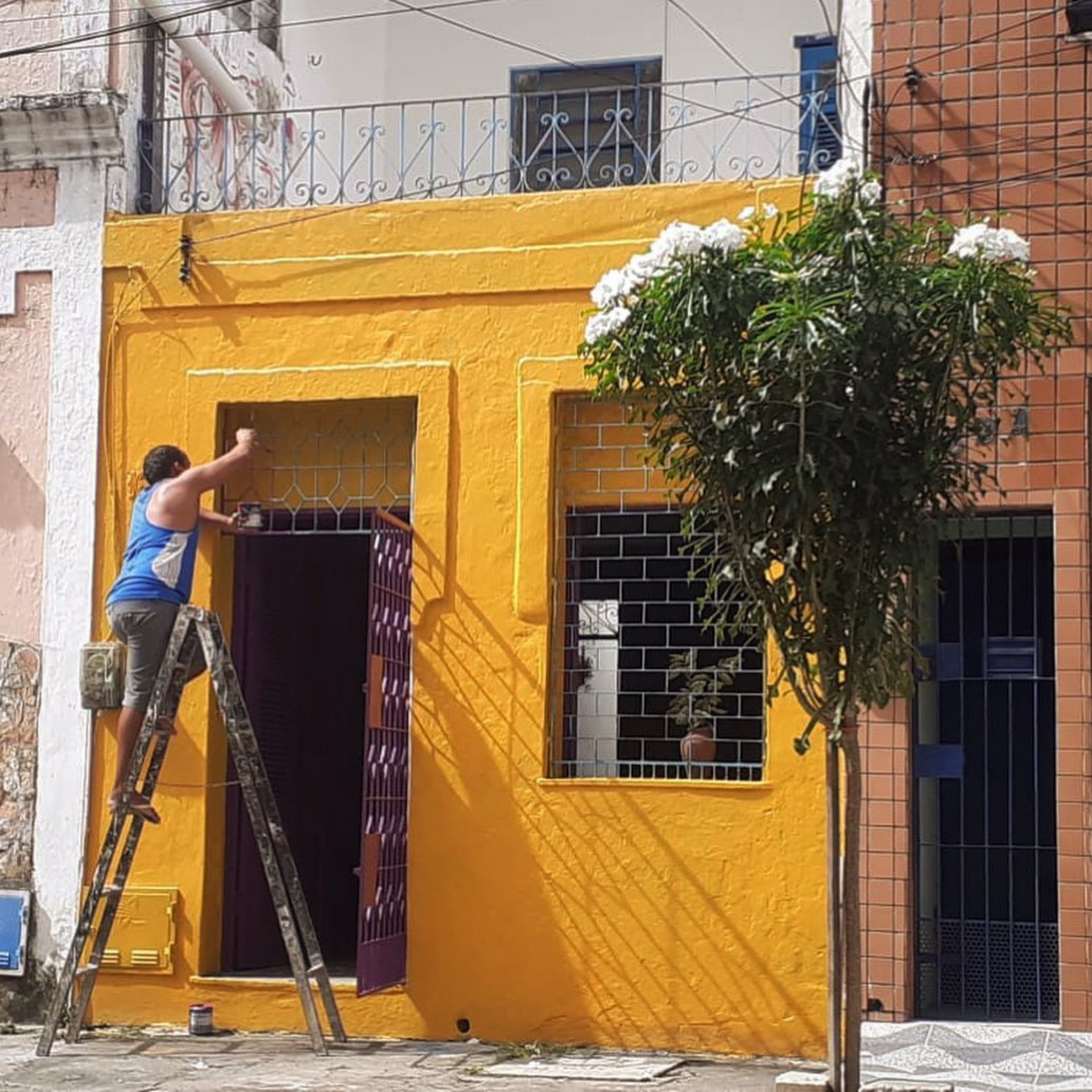 Outra Casa Coletiva recebe jovens LGBTQIA   (Foto: Reprodução/Instagram)