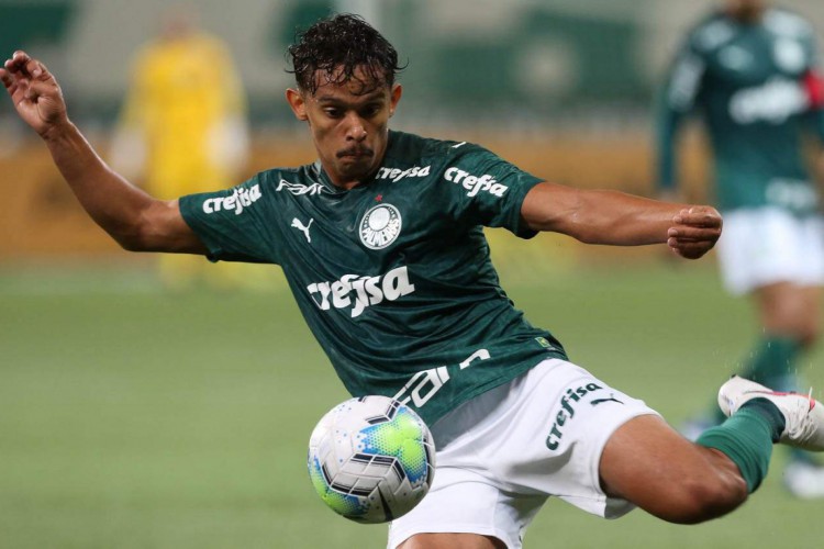 Palmeiras x Fluminense ao vivo: onde assistir, escalação ...