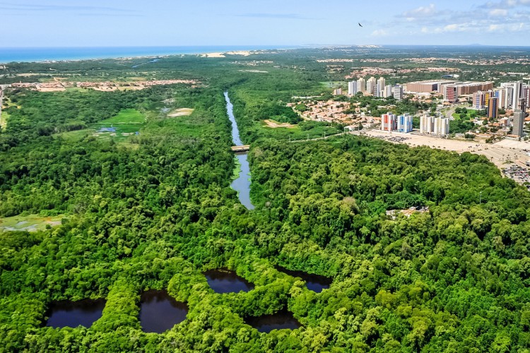 Parque Estadual do Cocó: o sonho verde de Fortaleza