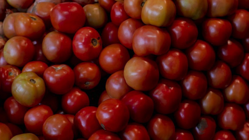 O tomate foi o grande vilão no mês de julho quando analisamos o aumento de 3,92% no preço da cesta básica em Fortaleza(foto: Aurelio Alves)