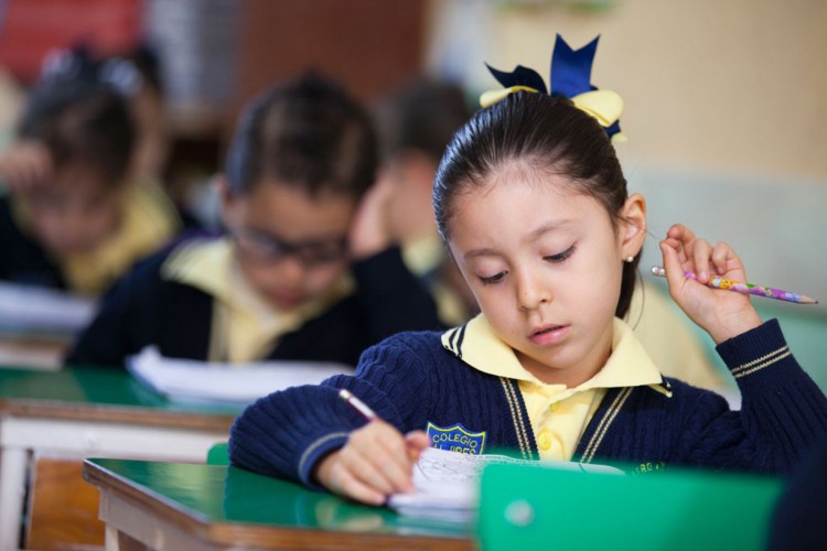 Two Languages debate educação bilíngue no Brasil; evento, online e gratuito, ocorre nos dias 12 e 13 de agosto, com inscrições abertas até 12 de agosto

