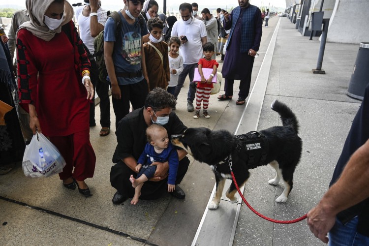 Refugiado afegão recém-chegado aos Estados Unidos brinca com cachorro no aeroporto enquanto espera vistos serem processados