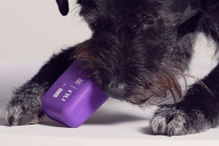 Nudog é um brinquedo criado em parceria Nubank e Zee.Dog