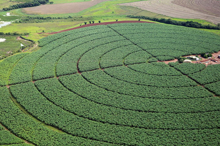 Reservatórios de pivôs centrais de irrigação em Itaí (SP)